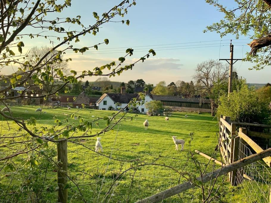 The Cart House - Beautiful Contemporary Barn - Hot Tub Διαμέρισμα Bridgnorth Εξωτερικό φωτογραφία